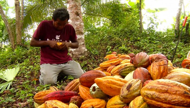 Belize – Der Kakao-Pflanzer - Filmfotos