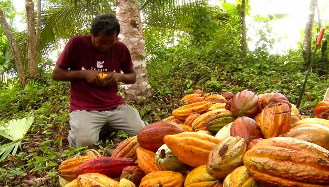 The Chocolate Farmer - Z filmu