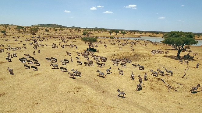 Serengeti - Série 1 - Exodus - Z filmu