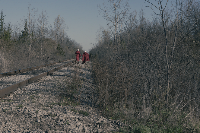 The Handmaid's Tale - Milk - De la película