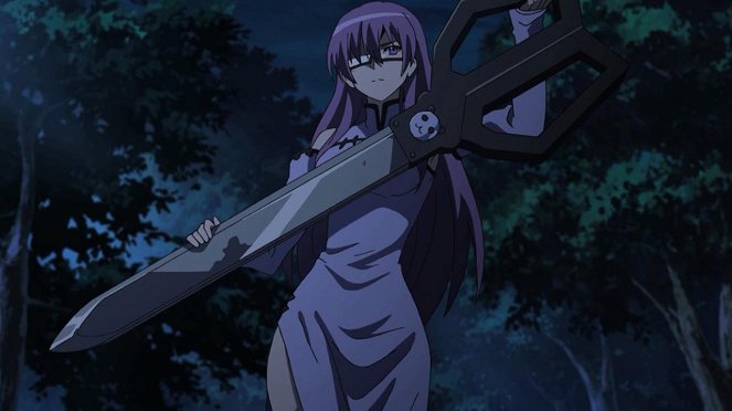 Akame ga Kill – Schwerter der Assassinen - Die absolute Gerechtigkeit durchschneiden - Filmfotos
