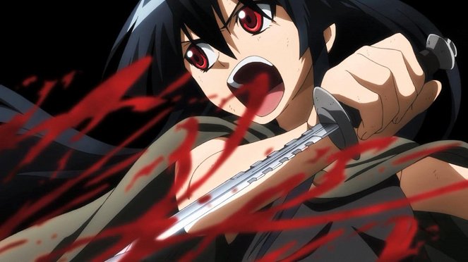 Akame ga Kill! - Kill the Curse - Photos