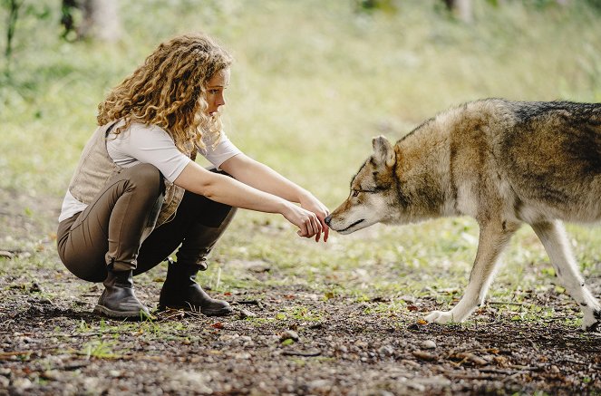 Reiterhof Wildenstein - Jacomo und der Wolf - Do filme