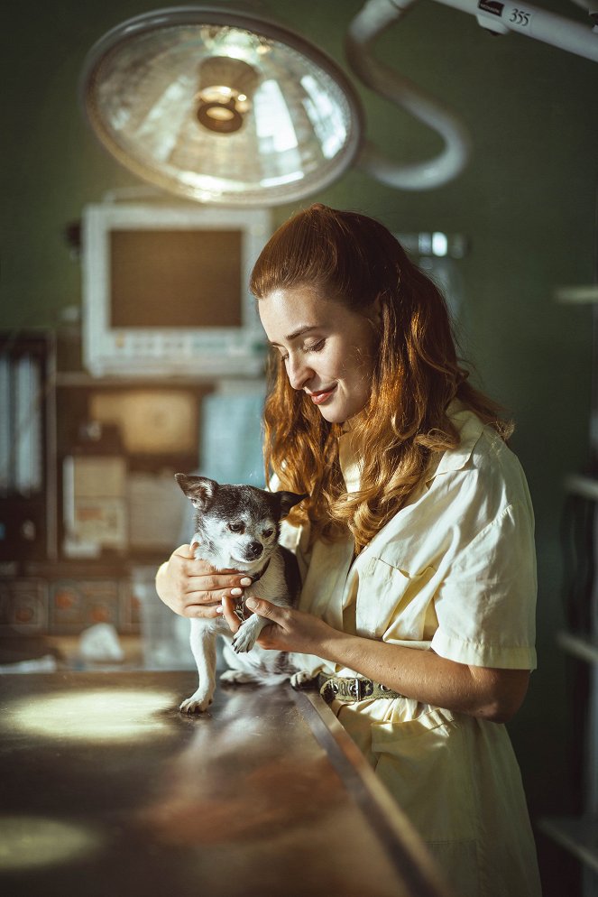 Gump - pes, který naučil lidi žít - Werbefoto - Anna Šulcová