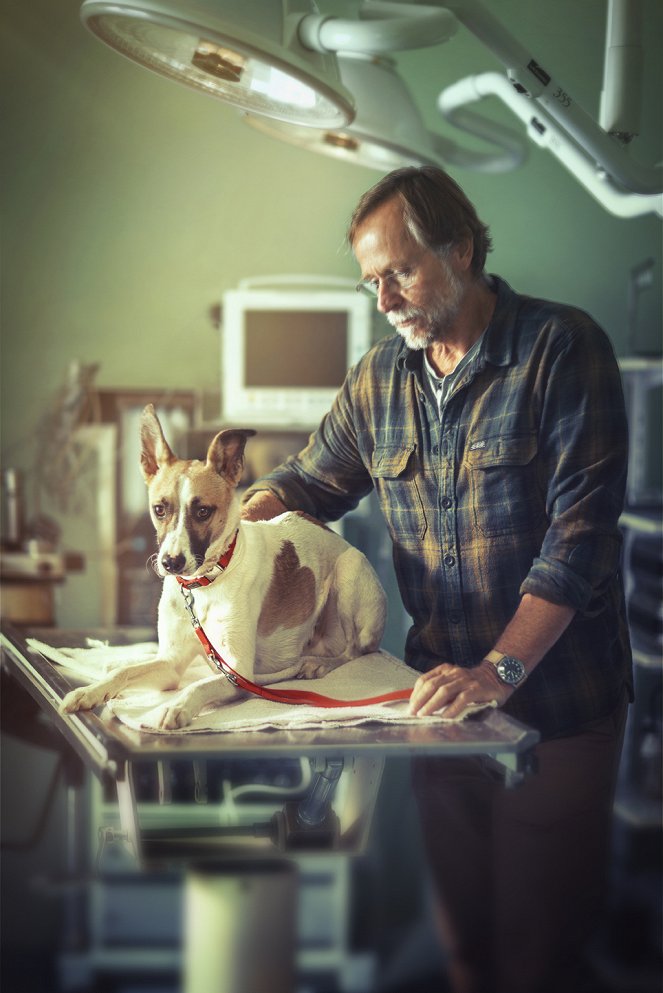 Gump - pes, který naučil lidi žít - Werbefoto - Karel Roden