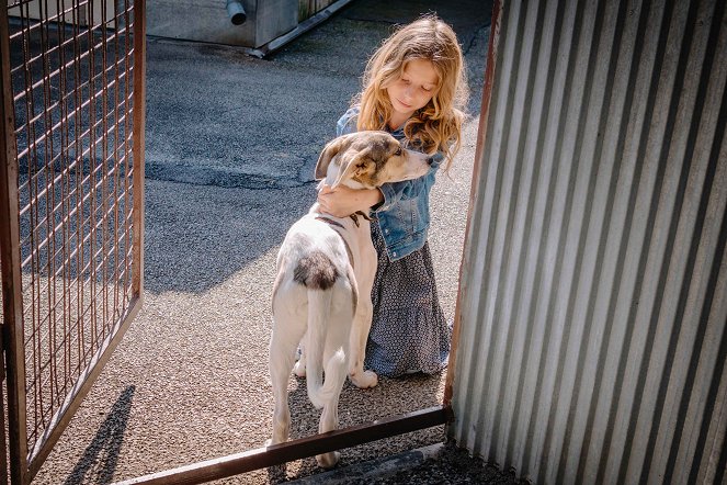 Gump - pes, který naučil lidi žít - Forgatási fotók