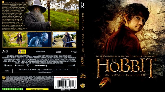 Hobbit: Niezwykła podróż - Okładki