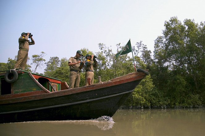Tajný život lesů - Sundarbans, la forêt nourricière - Z filmu