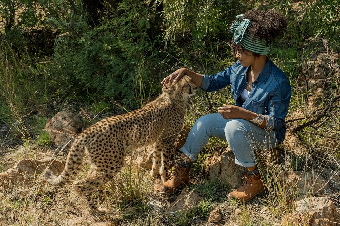 Löwenzahn – Abenteuer in Südafrika - Filmfotók