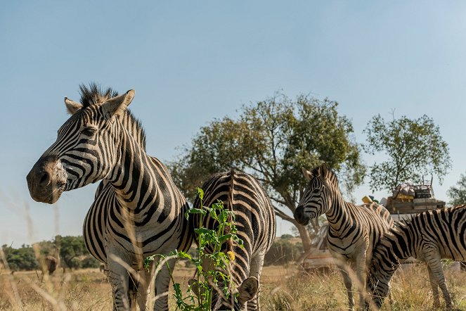 Löwenzahn – Abenteuer in Südafrika - Filmfotos