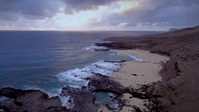 Under Siege - The Sharks of Ascension Island - Kuvat elokuvasta