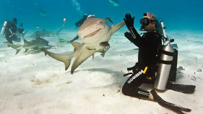 Mentsd meg ez a cápát! - Filmfotók
