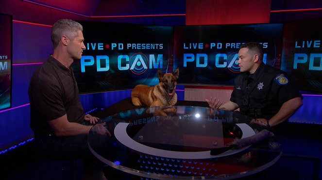Live PD Presents PD Cam - Van film