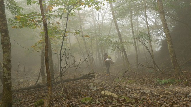 Mist of Seeds : Yoshinobu Nakagawa - Photos