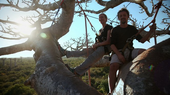 Madagascar, les bons génies de la forêt - Filmfotók
