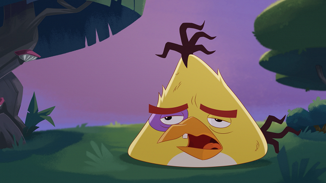 Angry Birds Toons - Hide and Seek - Photos