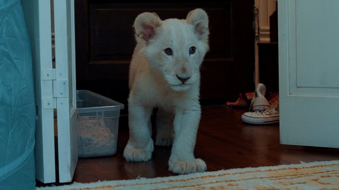 Lena and Snowball - Photos