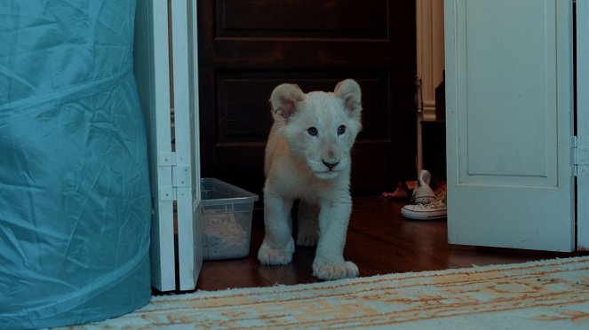 Lena & Snowball - Kleiner Löwe, großes Abenteuer - Filmfotos