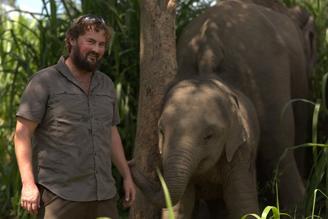 Az elefántkórház - Filmfotók