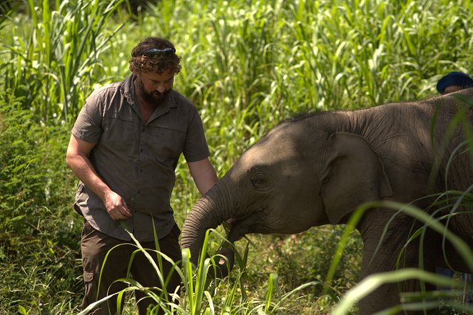Az elefántkórház - Filmfotók