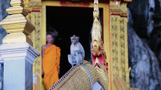 Buddhista rituálék - Filmfotók