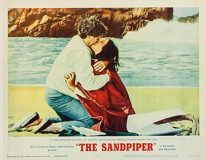 The Sandpiper - Lobbykaarten