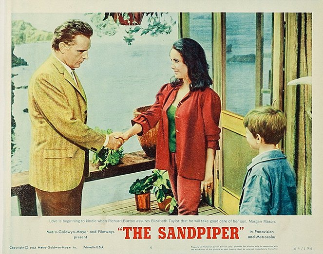 The Sandpiper - Lobby karty