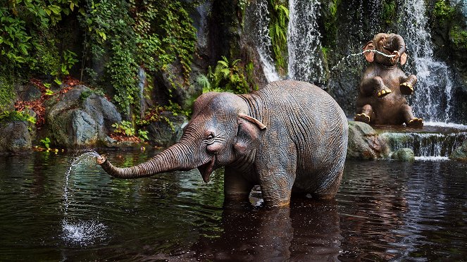 Behind the Attraction - Jungle Cruise - Photos