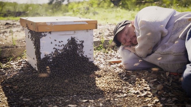 König der Bienen - Filmfotos