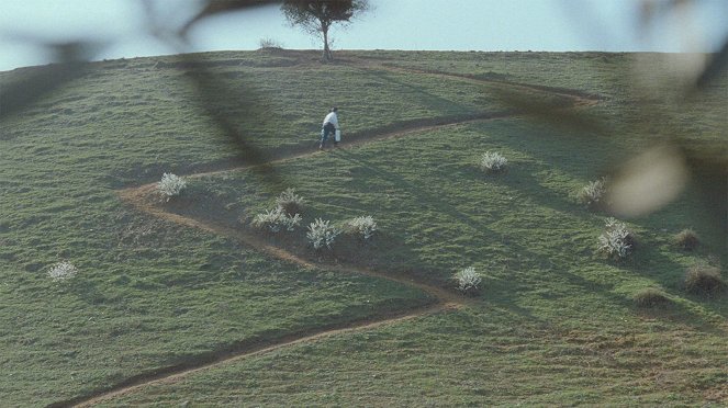 Through the Olive Trees - Van film