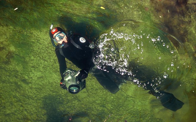 Der Wassermann - 50 Jahre Tauchen in Flüssen und Seen - De filmes