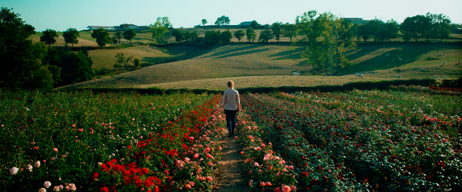 Usłane różami - Z filmu