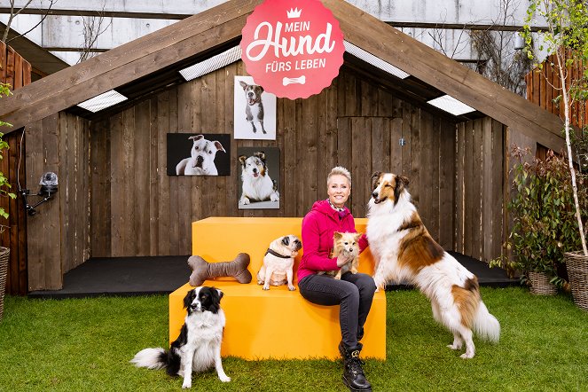 Mein Hund fürs Leben - Sonja Zietlows Pfoten-Team - Promoción - Sonja Zietlow