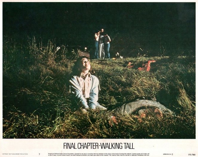 Final Chapter: Walking Tall - Lobby Cards