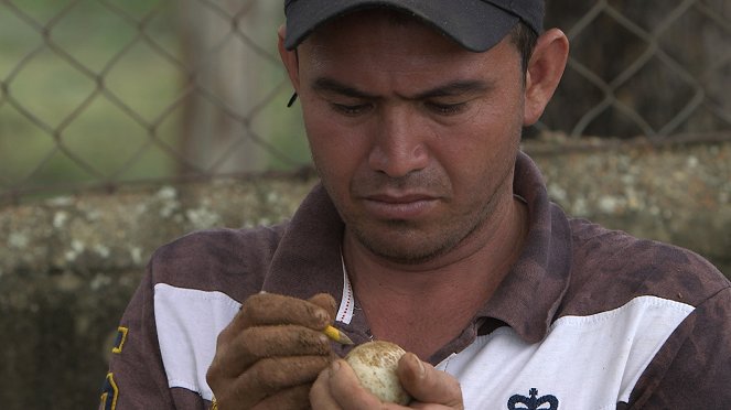 Venezuela, la ferme aux crocodiles - Filmfotók