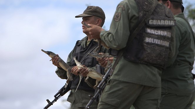 Abenteuer Wildnis: Die letzten Krokodile Venezuelas - Filmfotos
