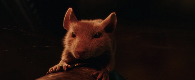 Mice: A Small Story - Kuvat elokuvasta