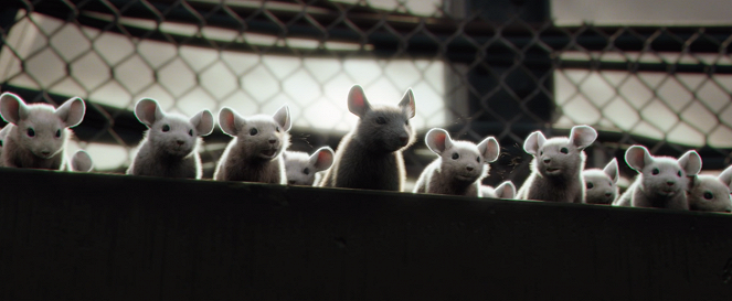 Mice: A Small Story - Filmfotók