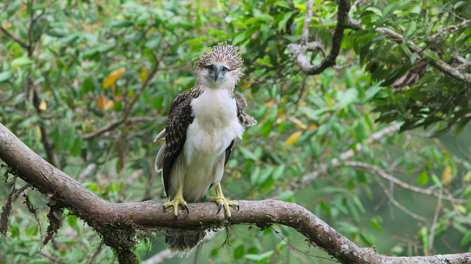 Breaking Boundaries: The Science of Our Planet - Filmfotos