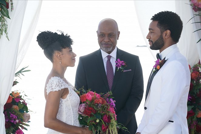 Grey's Anatomy - Die jungen Ärzte - Jeder auf seine Weise - Filmfotos - Kelly McCreary, James Pickens Jr., Anthony Hill