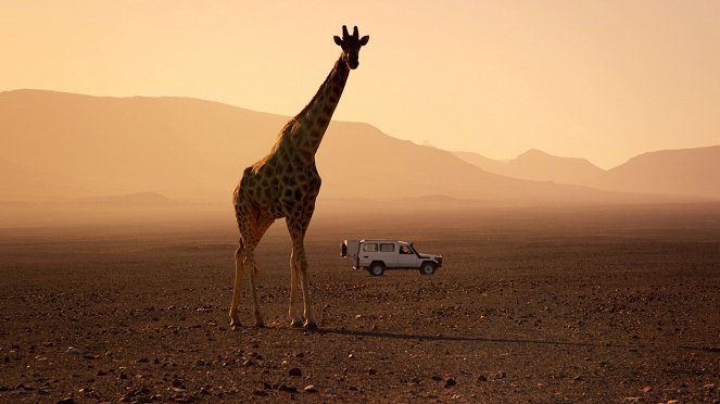 Giganten des Tierreichs - Afrika - Filmfotos