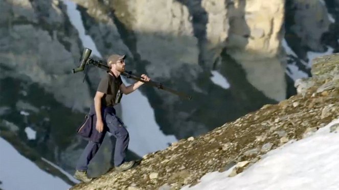 Vögel im Hochgebirge - Von Alpendohlen, Bergpiepern und Schneesperlingen - Kuvat elokuvasta