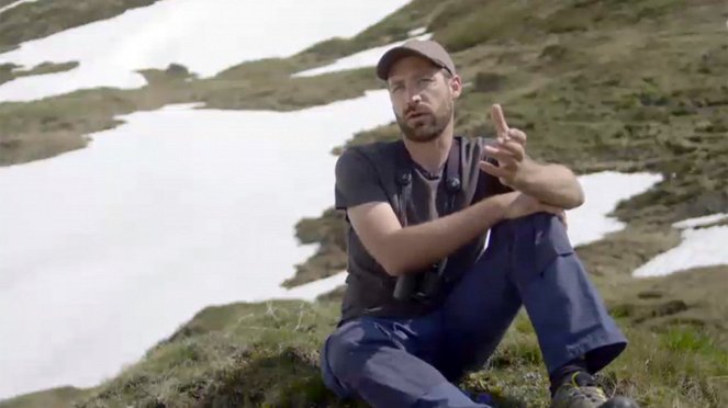 Vögel im Hochgebirge - Von Alpendohlen, Bergpiepern und Schneesperlingen - Do filme