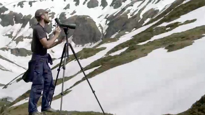 Vögel im Hochgebirge - Von Alpendohlen, Bergpiepern und Schneesperlingen - Filmfotók
