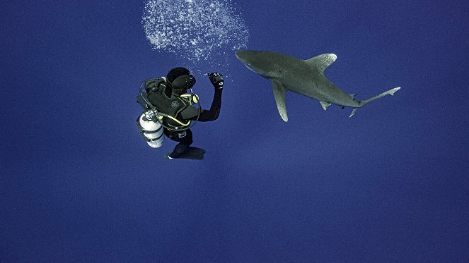 World's Deadliest Shark - Do filme