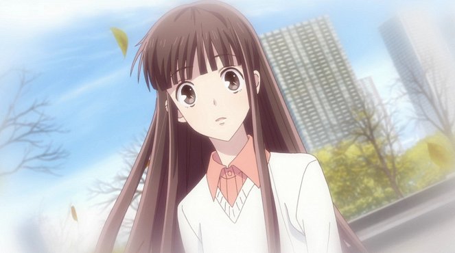 Fruits Basket - Nai n Da, Dokonimo! - De la película