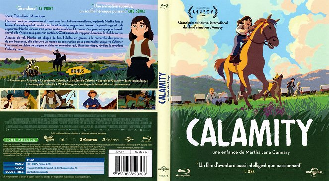 Calamity - Capas