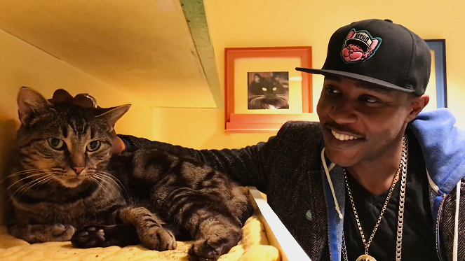 Cat People - Cat Rappers Delight - Van film