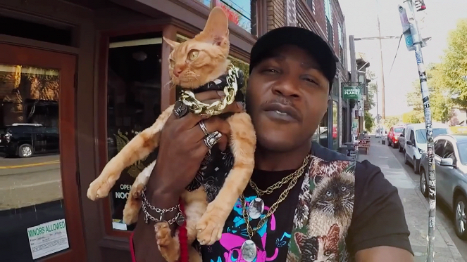 Cat People - Cat Rappers Delight - Van film