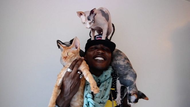 Kočičí lidé - Kočičí rappeři - Z filmu